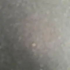 ぴーすけ様専用　ポケモンフレンダ