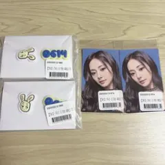 TWICE ラバーピンズセット ツウィ 2個セット