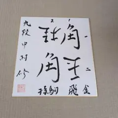 将棋棋士　サイン色紙セット 将棋プロ棋士直筆サイン色紙 - メルカリ