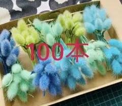 110 ドライフラワーラグラスミックスカラー120本 - メルカリ