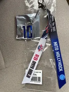 RB大宮アルディージャ　マッチデーボンフィン　豊川雄太