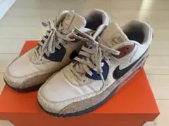 Nike Air Max 90 NRG デザート サンド（CI5646-001）
