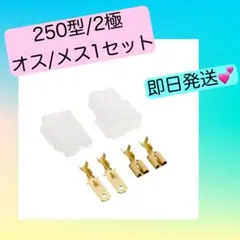 ✳️ キタコ(KITACO) コネクターセット 250型/2極 二輪車専用 バイク