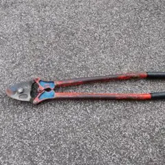 Item thumbnail for item edde85ac-7180-41c8-81d2-eaeb7ff5a8b1