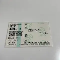 2024年 ジャパンカップ ドウデュース 現地 単勝 馬券 東京競馬場