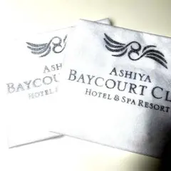 Item thumbnail for item 677c2857-e69d-4844-a335-5060f25c8e1e