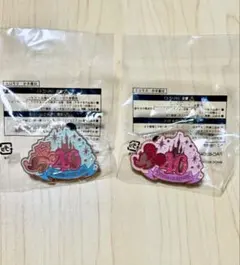 限定‼︎ディズニーリゾート☆【40周年記念ピンバッジ】