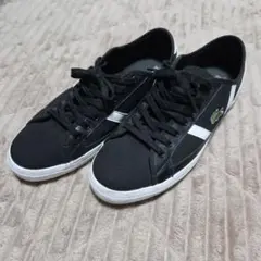LACOSTE スニーカー ブラック ホワイト　26.0のサムネイル