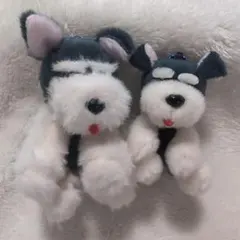 シュナとボブ　お耳たったよ　ミニぬいぐるみ　タール舌出し　2点セット