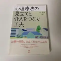 【月初セール】心理療法の見立てと介入をつなぐ工夫