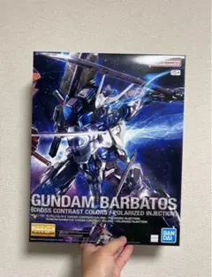 MG 1/100 ガンダムアストレイ クロスコントラストカラーズ 朽木黒