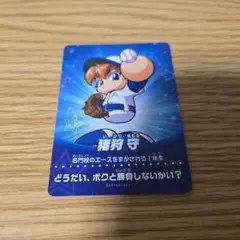 パワフルプロ野球 早川あおい 猪狩守 イーパス e-amusement pass 非売品 パワフルプロ野球 e-amusement pass おまけ付き - メルカリ