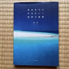 Item thumbnail for item 7d38c55f-cdd3-45e0-b076-5ca01bac2b07