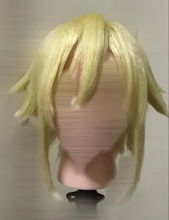 ディズニー Dハロ ガストンガールズ ウィッグ 仮装 コスプレ - メルカリ