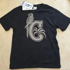 Item thumbnail for item 5fd2263b-05fa-4e1d-899c-f91ec20b7e5c