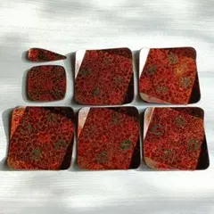 Item thumbnail for item af5445e1-ad16-4926-912a-499c6d89c917