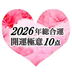 先回りで幸せに☆大人気鑑定！総合運♥︎ボリューム鑑定霊視タロット占い仕事結婚恋愛