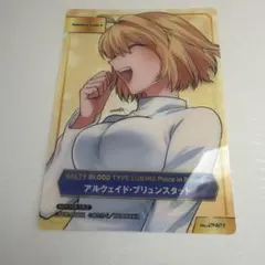 TYPE-MOON fate A.B-T.C 月姫 アルク クリア カード
