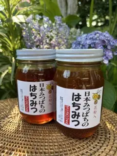 天然熟成1年 希少 日本ミツバチ 国産天然はちみつ100%600g(M1Y1箱 