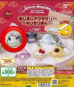 サンリオキャラクター めじるしアクセサリー　なりきりまん　ポチャッコ