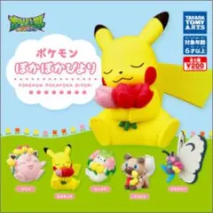 ポケモン ぽかぽかびより 5点コンプリートセット