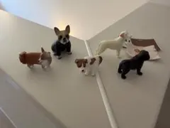 犬　ガチャガチャ　まとめ