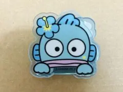 ハンギョドン　アクリルクリップ