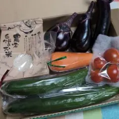 【６時まで】新潟産　従来コシヒカリ(２合)300g　野菜セット【本日発送】のサムネイル