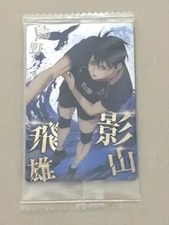 ハイキュー!! 影山飛雄 トレカ ゴミ捨て場の決戦 ウエハース