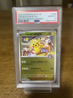 トウホクのピカチュウ P 260/SV-P PSA10 - メルカリ