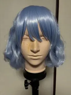 2026年最新】レミリアスカーレットウィッグの人気アイテム - メルカリ