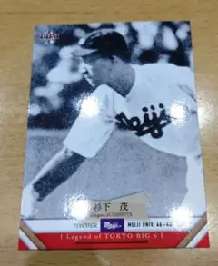 BBM2011 東京六大学　杉下茂（明大）No.033