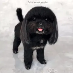 handmade 羊毛フェルト ☆ ミックス犬　犬　オーダー