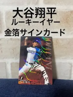 カルビー　2013 大谷翔平　プロ野球チップス　金箔サインカード