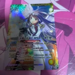 天使のたまご　ほちゃー