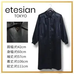 Item thumbnail for item 3d583a7d-d75f-4342-97fc-cdbc382f47b6