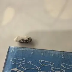 天然石 ルース 原石 鉱物標本