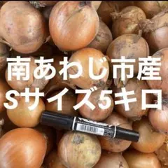 淡路島産玉ねぎ　Sサイズ5キロのサムネイル