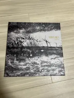 LUNA SEA LUV SLAVE限定盤 新品未開封 楽天市場】luna sea luv 初回限定版（CD・DVD）の通販