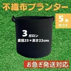不織布プランター ３ガロン ５個セット ポット ガーデニング 取手付 ブラックのサムネイル