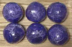 ワンピの実　第一海戦　コンプリート　カプセルなし