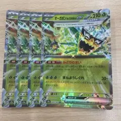 オーガポン　みどりのめんex 4枚セット