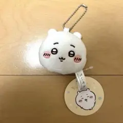 Item thumbnail for item 6066b80a-ef0d-4f5b-9371-2aa470b2169b