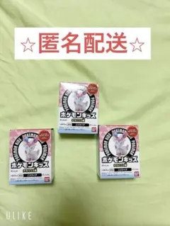 新品・未開封　匿名配送　ポケモンキッズ テラパゴス編　ニンフィア 3個セット