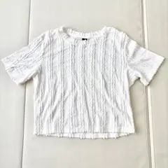 SHEIN Dazy ストライプ 半袖Tシャツ M 白 ホワイト 無地 シンプル