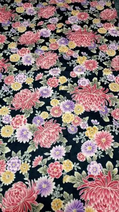 Item thumbnail for item 7f5a41f5-d2fa-45b0-bf34-ca73241dd604