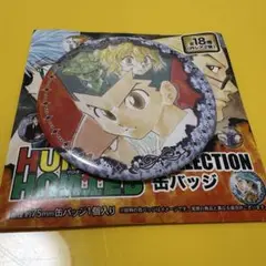 HUNTER×HUNTER コレクション缶バッジ ゴン