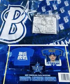 蝦名達夫選手　横浜DeNAベイスターズ　観戦記念キーホルダー　4/8