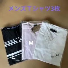BENO ストライプ Vネック Tシャツ インナーシャツ3枚セット Lのサムネイル