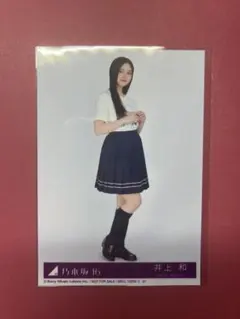 Item thumbnail for item 6afda9dd-03b8-45e8-8539-399b5a6dd299